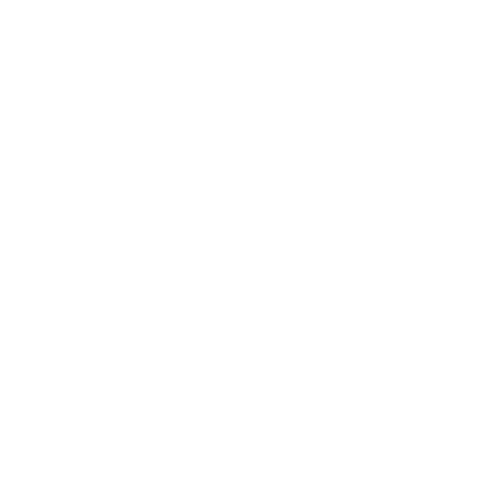 SSI-SCHAFER